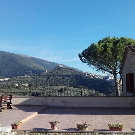 B&B Colle San Francesco Ассизи Экстерьер фото